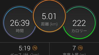 ペース走(5km+3km)。身体がちょっとラクになってきました【トレーニング日記】