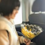 ローマで「Festa della Donna(フェスタ・デッラ・ドンナ、女性の日)」にミモザをもらう。最後のランチ、そしてお別れ
