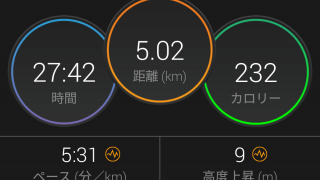 ジョギングと5キロのタイムトライアル。サブフォーって、こんなに速かったけ【トレーニング日記】
