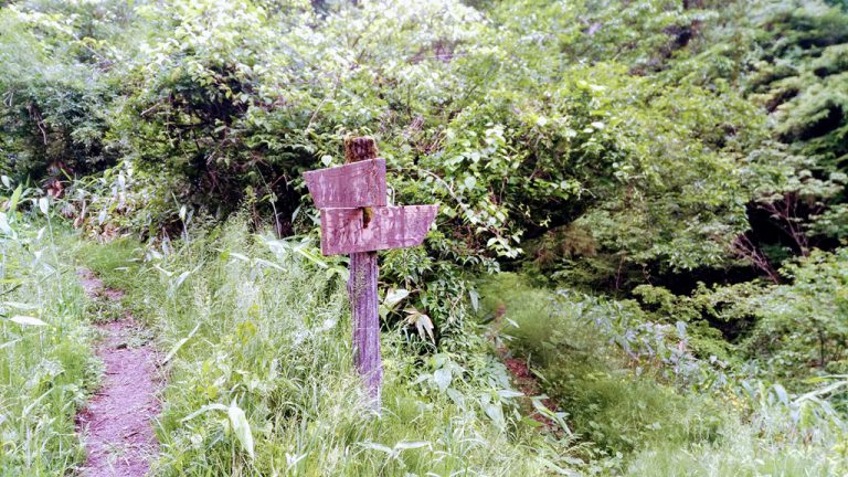 「緊急度×重要度」の「時間管理のマトリックス」で、人生にとって大切なタスクを優先 林原りかのブログ「林原商店」