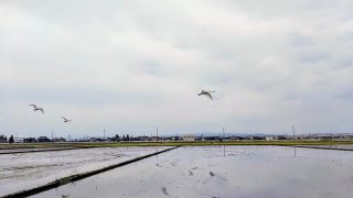 地方の中小企業が人手不足時代の求人文に書くべき3つのこと