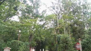 ライフスタイルと仕事の両立を目指して、自分が応募したい職場をつくって自分を雇う