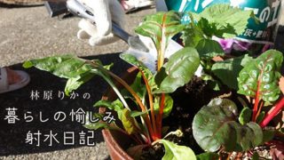 【更新情報】「メディア掲載・出演実績」に「林原りかの 暮らしの愉しみ 射水日記」「10 射水市産の培養土で、野菜と花の寄植えに挑戦!」(射水ケーブルネットワーク)を追加